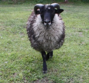 3 months later he's gotten bigger and more... uhh friendly? 