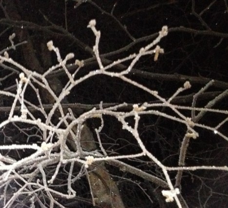 Hoarfrost