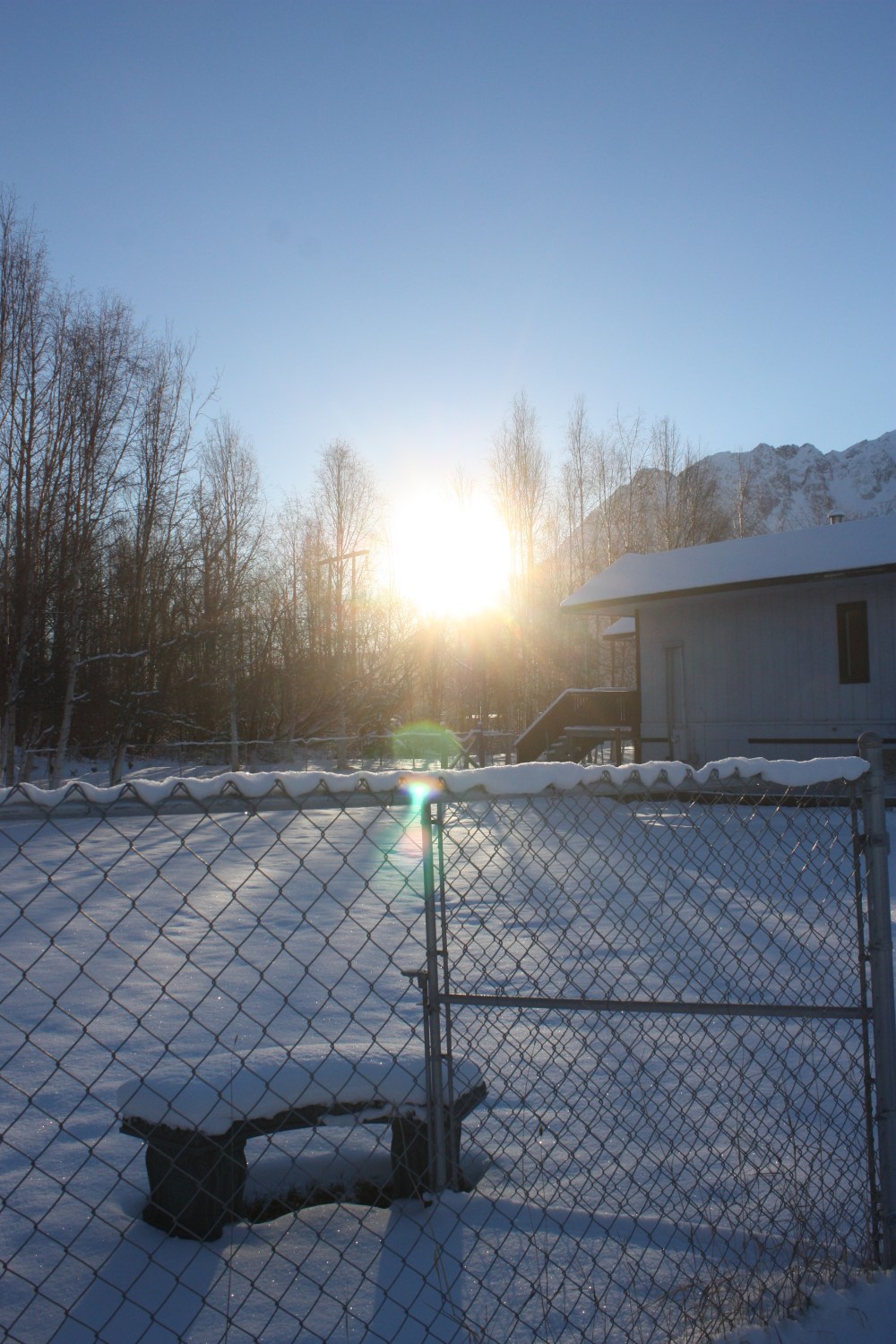 Beautiful sunrise through the trees
