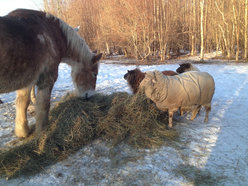 Katherine was worried Honey might eat it all so she took an extra big bite.