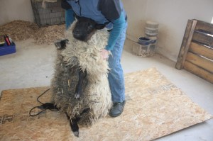 Betty was a great one to warm up with. 