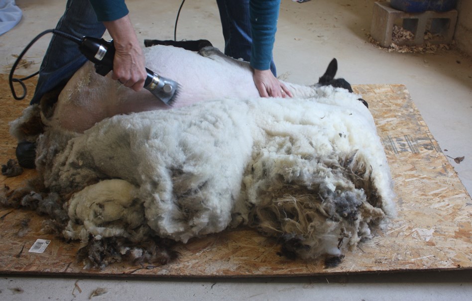 Betty seems to enjoying her spa day.