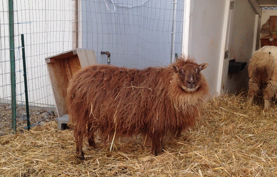 Matilda doesn't seem to have the ground clearance she once did.
