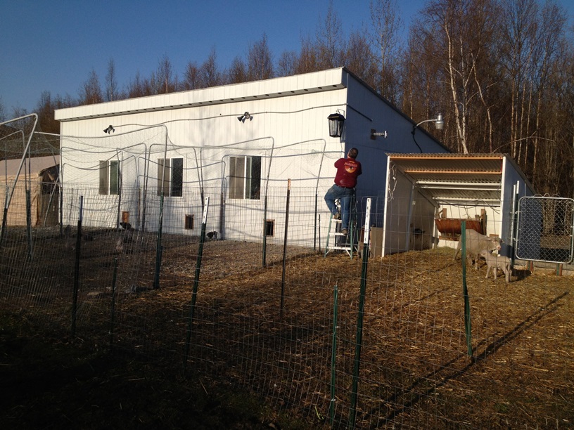 Tom installed the new bug light on the barn