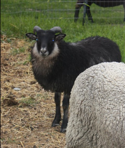 Hans is looking mighty handsome