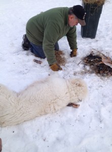 Mia is helpful as always.