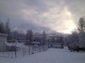 Pioneer Peak in the late afternoon sun