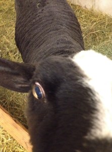 I'm ready for my close-up