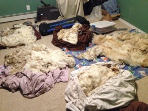 Some of the 2014 fleeces