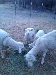 Friday - It's light at 5 am