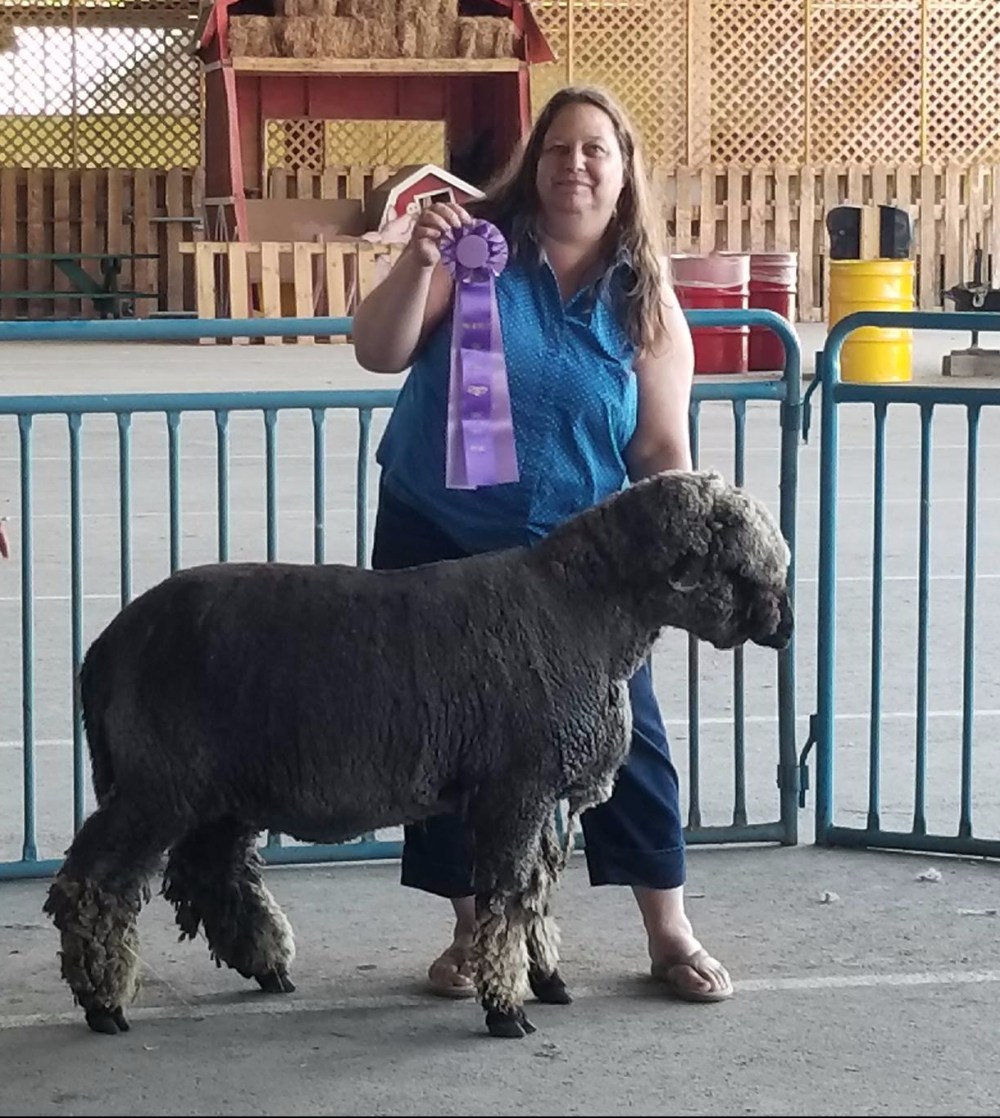 20314708_1461373037280124_439723436_o