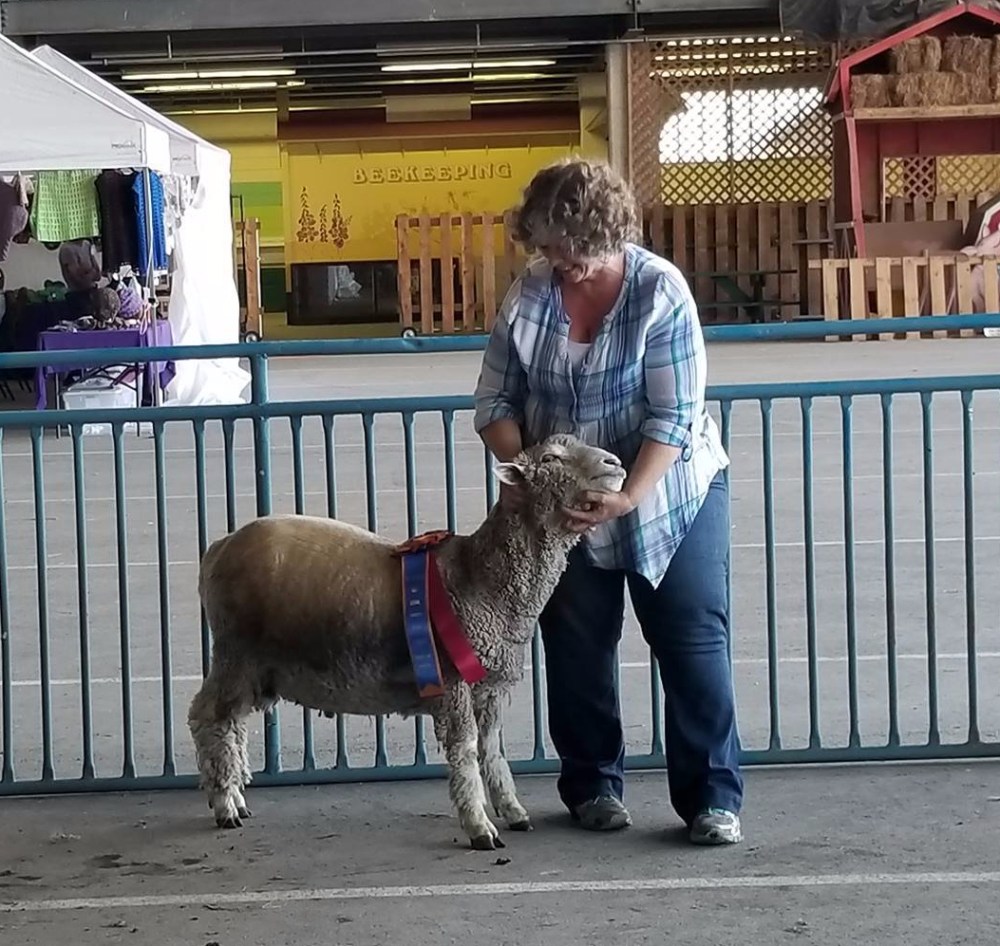 20353805_1461373157280112_1343168645_o