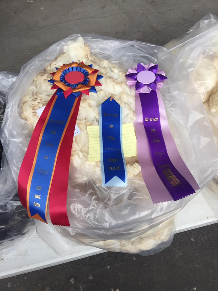 67108798_10215569503813088_3684495376284385280_n